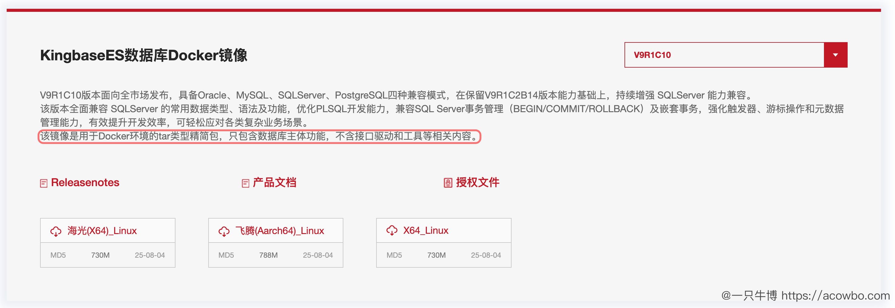 没有选择 Docker 镜像的原因
