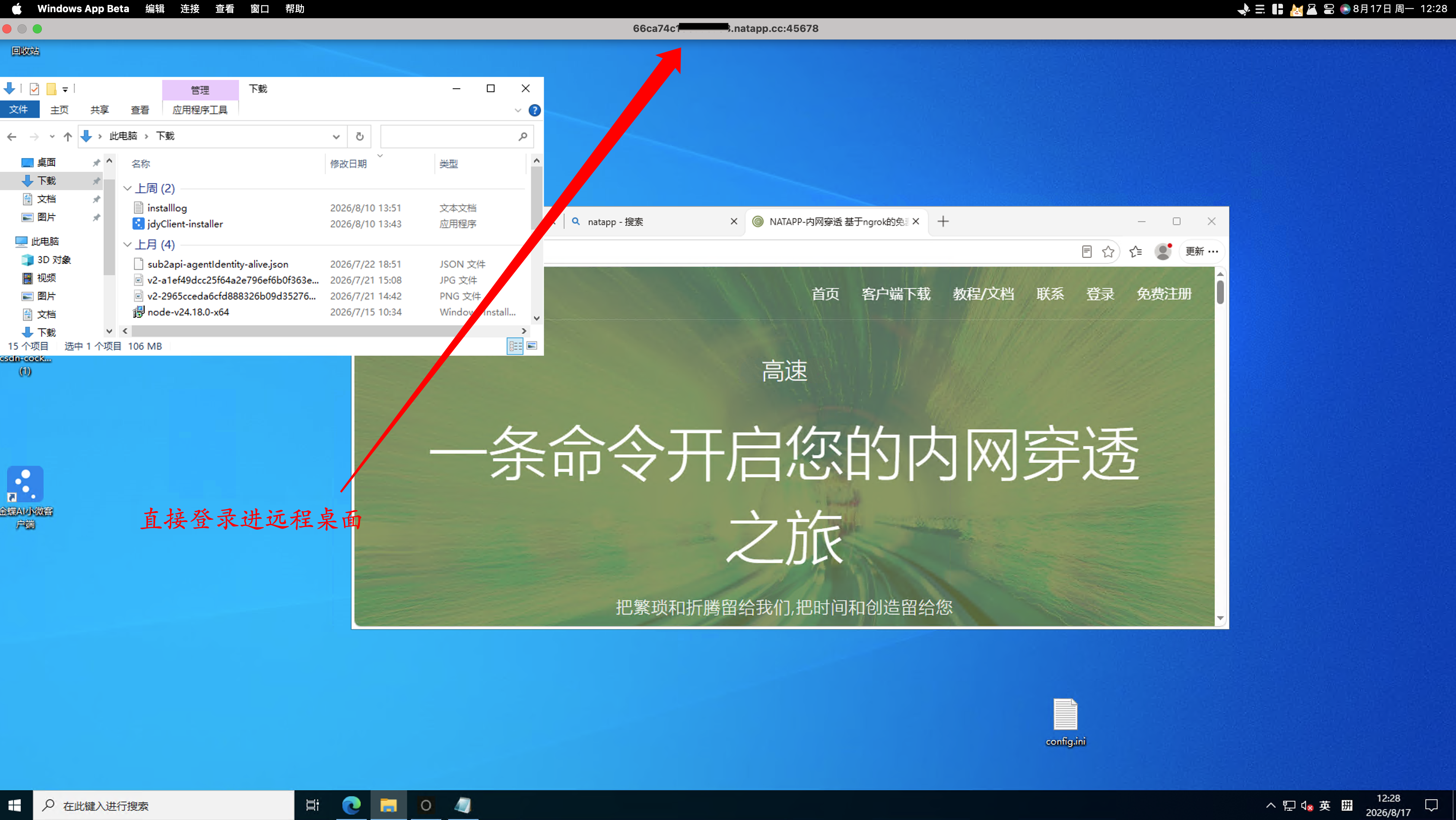 通过 Natapp 进入 Windows 远程桌面